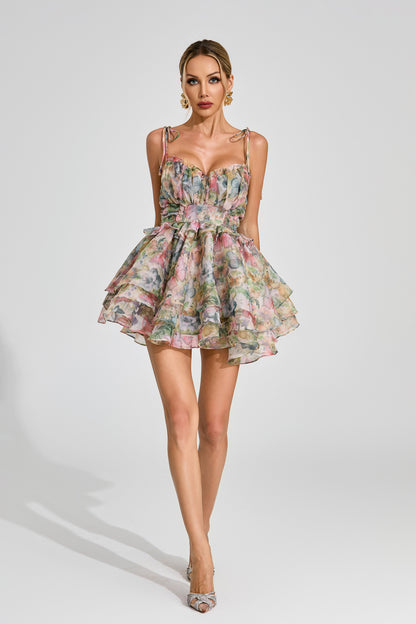 Haggai Floral Chiffon Mini Dress