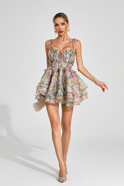 Haggai Floral Chiffon Mini Dress