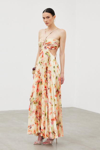 Ianuarius Halter Neck Ruch Print Maxi Dress