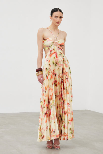 Ianuarius Halter Neck Ruch Print Maxi Dress