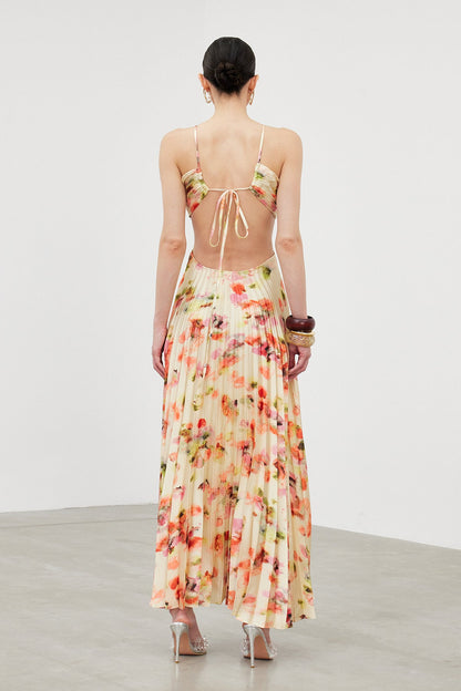 Ianuarius Halter Neck Ruch Print Maxi Dress